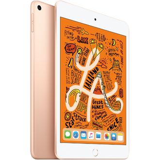 Apple iPad mini 5 256GB Wi-Fi + Cellular zlatý (2019)