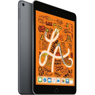 Apple iPad mini 5 256GB Wi-Fi + Cellular vesmírne šedý (2019)