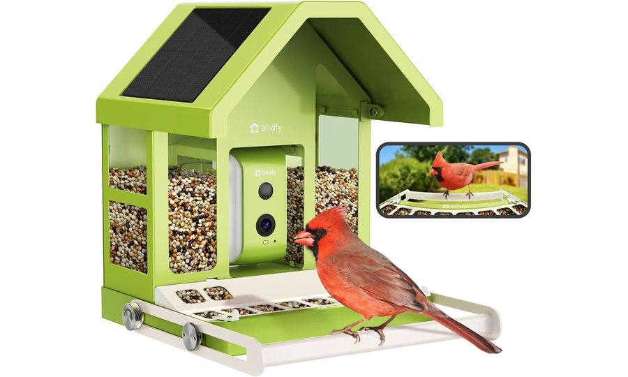 Birdfy Feeder Metal (bezplatná AI na celý život)