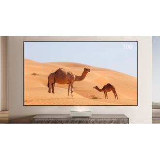 XGIMI 100" UST ALR Screen