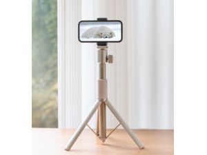 XGIMI Light Gold Portable Stand