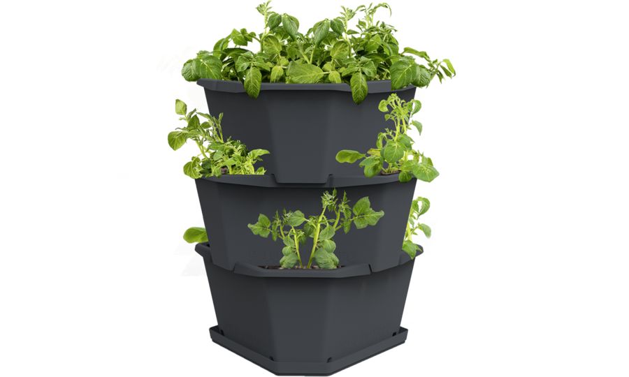 Samozavlažovací 3-vrstvový kvetináč Gusta Garden PAUL POTATO, antracit