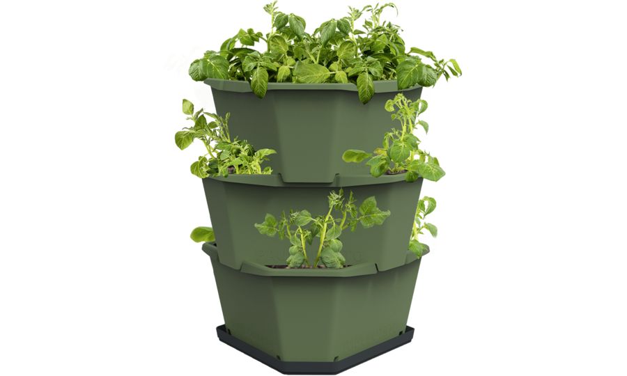 Gusta Garden PAUL POTATO 3-vrstvový samozavlažovací kvetináč, tmavozelený