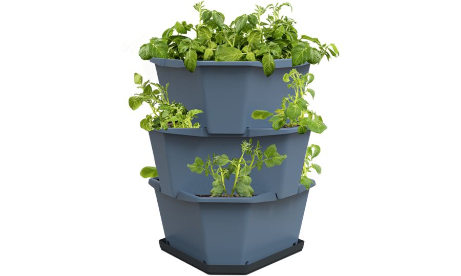 Samozavlažovací 3-vrstvový kvetináč Gusta Garden PAUL POTATO, modrý