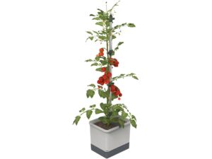 Gusta Garden TOM TOMATO Štandardný samozavlažovací kvetináč, svetlosivý