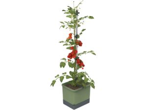 Gusta Garden TOM TOMATO Štandardný samozavlažovací kvetináč, tmavozelený