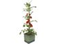 Gusta Garden TOM TOMATO Štandardný samozavlažovací kvetináč, tmavozelený