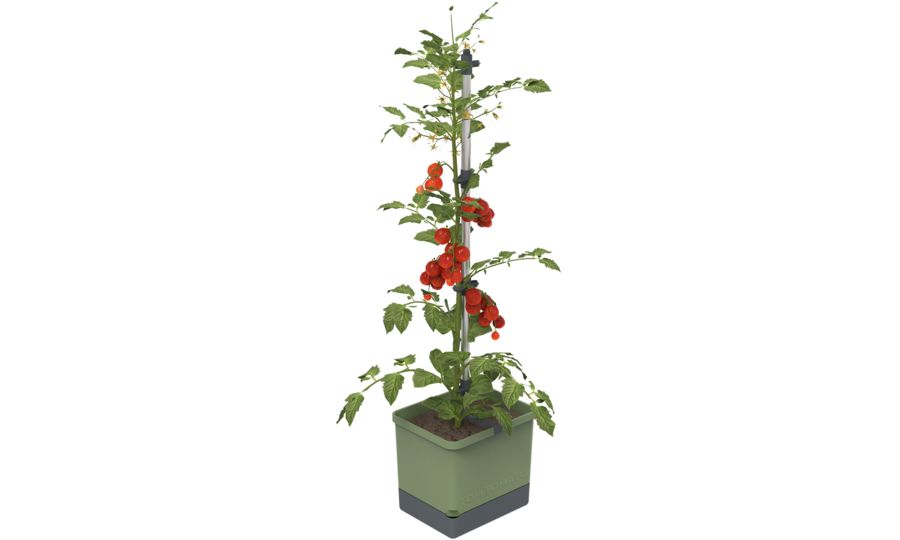 Gusta Garden TOM TOMATO Štandardný samozavlažovací kvetináč, tmavozelený