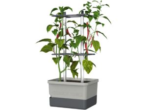 Gusta Garden CHARLY CHILI Štandardný samozavlažovací kvetináč, svetlosivý