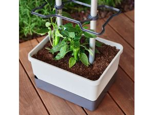 Gusta Garden CHARLY CHILI Štandardný samozavlažovací kvetináč, tmavozelený