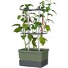 Gusta Garden CHARLY CHILI Štandardný samozavlažovací kvetináč, tmavozelený