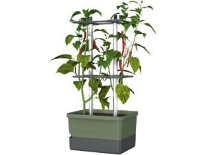 Gusta Garden CHARLY CHILI Štandardný samozavlažovací kvetináč, tmavozelený