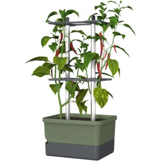 Gusta Garden CHARLY CHILI Štandardný samozavlažovací kvetináč, tmavozelený