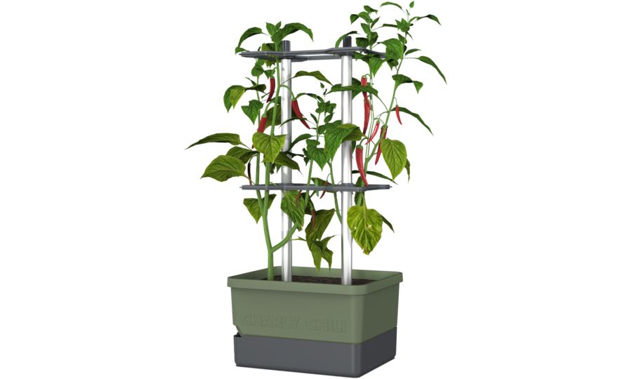 Gusta Garden CHARLY CHILI Štandardný samozavlažovací kvetináč, tmavozelený