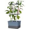 Gusta Garden CHARLY CHILI Štandardný samozavlažovací kvetináč, modrý