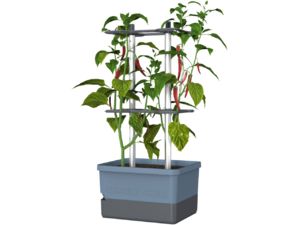 Gusta Garden CHARLY CHILI Štandardný samozavlažovací kvetináč, modrý