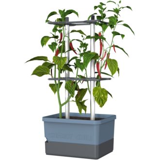 Gusta Garden CHARLY CHILI Štandardný samozavlažovací kvetináč, modrý