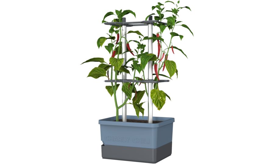 Gusta Garden CHARLY CHILI Štandardný samozavlažovací kvetináč, modrý