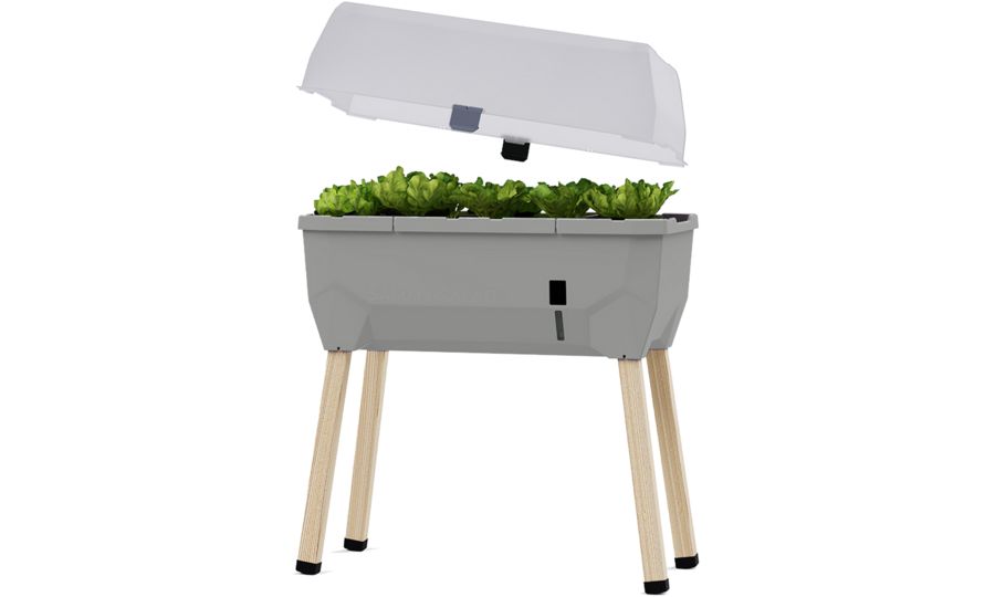 Samozavlažovací kvetináč Gusta Garden SAMMY SALAD s vekom svetlosivý