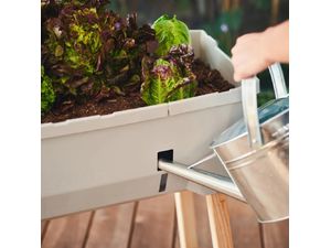 Samozavlažovací kvetináč Gusta Garden SAMMY SALAD bez veka, tmavozelený
