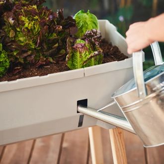Samozavlažovací kvetináč Gusta Garden SAMMY SALAD bez veka, svetlosivý