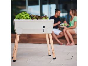 Samozavlažovací kvetináč Gusta Garden SAMMY SALAD bez veka, tmavozelený