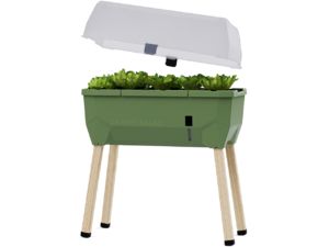 Samozavlažovací kvetináč Gusta Garden SAMMY SALAD s vekom, tmavozelený