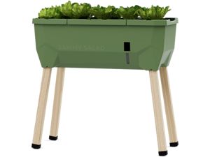 Samozavlažovací kvetináč Gusta Garden SAMMY SALAD bez veka, tmavozelený