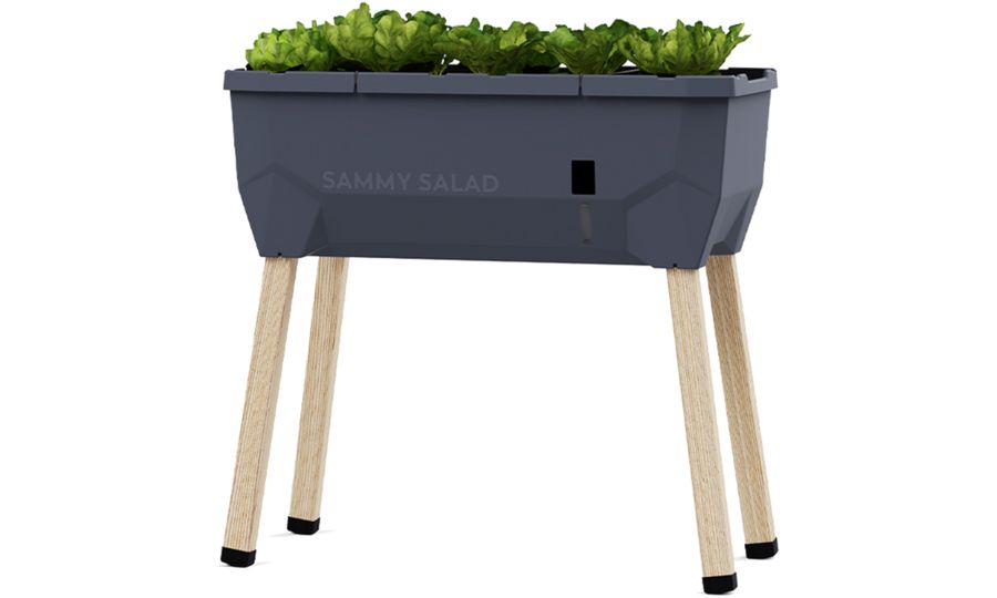 Samozavlažovací kvetináč Gusta Garden SAMMY SALAD bez veka, antracitový