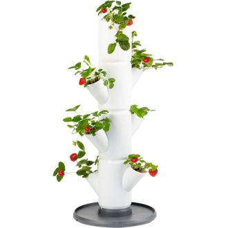 Gusta Garden SISSI STRAWBERRY štartovací samozavlažovací kvetináč 4 poschodia, biely