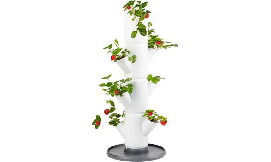 Gusta Garden SISSI STRAWBERRY štartovací samozavlažovací kvetináč 4 poschodia, biely