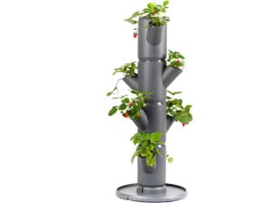 Gusta Garden SISSI STRAWBERRY štartovací samozavlažovací kvetináč 4 poschodia, antracit