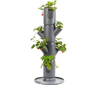 Gusta Garden SISSI STRAWBERRY štartovací samozavlažovací kvetináč 4 poschodia, antracit