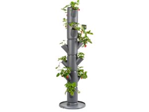 Gusta Garden SISSI STRAWBERRY klasický samozavlažovací kvetináč 6 poschodí, antracit