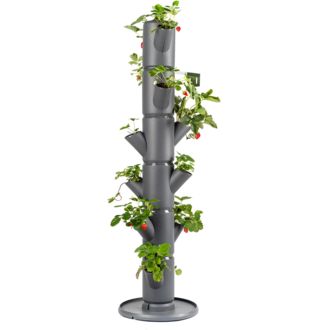 Gusta Garden SISSI STRAWBERRY klasický samozavlažovací kvetináč 6 poschodí, antracit