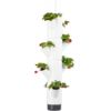 Gusta Garden SISSI STRAWBERRY závesný samozavlažovací kvetináč 4 poschodia, biely