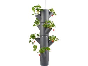 Gusta Garden SISSI STRAWBERRY závesný samozavlažovací kvetináč 4 poschodia, antracit