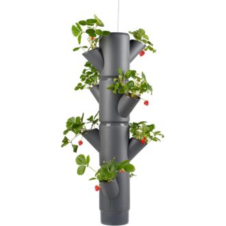 Gusta Garden SISSI STRAWBERRY závesný samozavlažovací kvetináč 4 poschodia, antracit