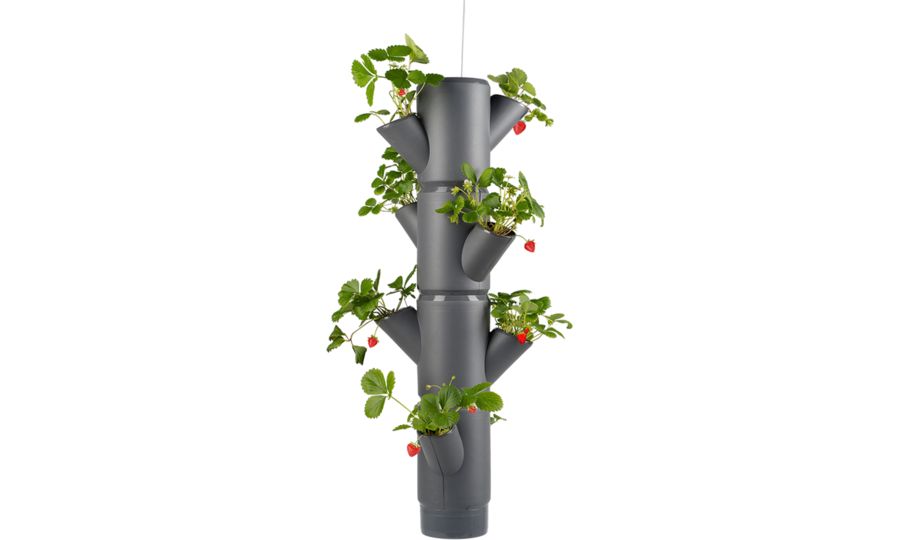 Gusta Garden SISSI STRAWBERRY závesný samozavlažovací kvetináč 4 poschodia, antracit