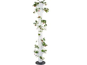 Gusta Garden SISSI STRAWBERRY Samozavlažovací kvetináč Infinity 10 poschodí, biely