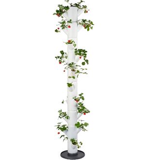 Gusta Garden SISSI STRAWBERRY Samozavlažovací kvetináč Infinity 10 poschodí, biely