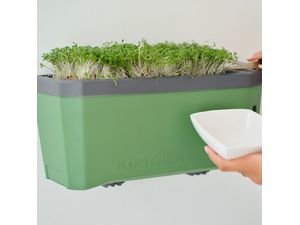 Nástenný držiak Gusta Garden HARRY HERBS