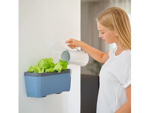 Nástenný držiak Gusta Garden HARRY HERBS
