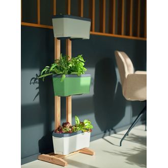 Gusta Garden HARRY HERBS drevený stojan vrátane držiakov