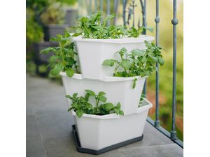 Gusta Garden PAUL POTATO podnos