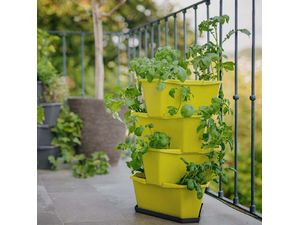 Gusta Garden PAUL POTATO podnos