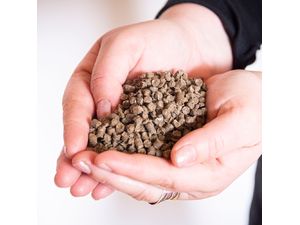 Gusta Garden organické hnojivo z ovčej vlny 400g