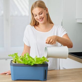 Samozavlažovací kvetináč Gusta Garden HARRY HERBS s vekom svetlosivý
