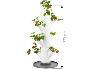 Gusta Garden SISSI STRAWBERRY štartovací samozavlažovací kvetináč 4 poschodia, biely