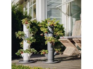 Gusta Garden SISSI STRAWBERRY base